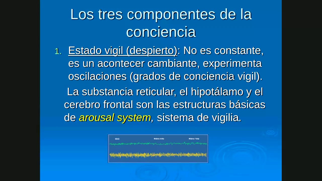 Teoria Nº3: Conciencia del Yo. Memoria