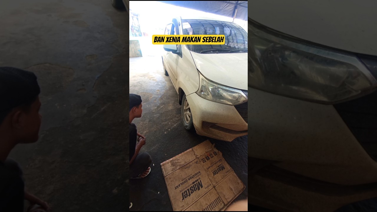 BAN XENIA MAKAN DALAM APA SEBAB NYA