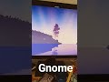 gnome
