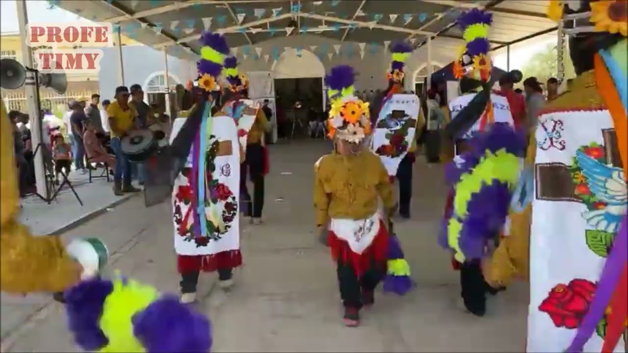 Danza de Palma del Epazote, Fresnillo, Zac.