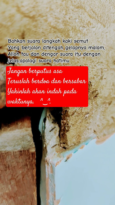 Bahkan suara langkah kaki semut #cambukhati #storywa #quotes