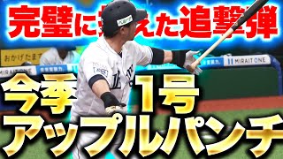 【りんご追撃】外崎修汰『桜の季節にリンゴが満開！今季1号アップルパンーチ！』