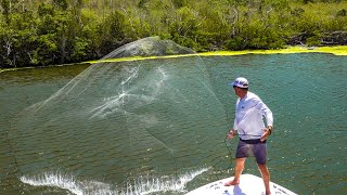 Castnetting THOUSANDS of fish  Butterflied Yellowtail Snapper! {Catch Clean Cook} US Virgin Islands