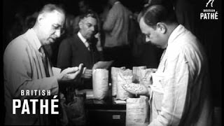 Berlin Street Scene 1947