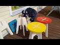 Plywood stools assembled by 4 year old kid - 123 FURNITURE Plywood stools assembled by 4 year old kid - 123 FURNITURE