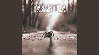 Muéstrame El Camino - Tarantula