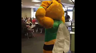 Wreck Tech Wreck Tech