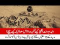 8 shawal jannat ul baqi  history  documentary janat ul baqi  janat ul baqi was demolished