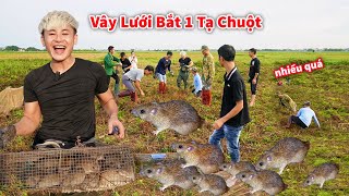 Hậu Cáo - Vây Lưới Bắt Được 100 Kg Chuột Đồng Cực Sướng || Trổ Tài Bắt Chuột