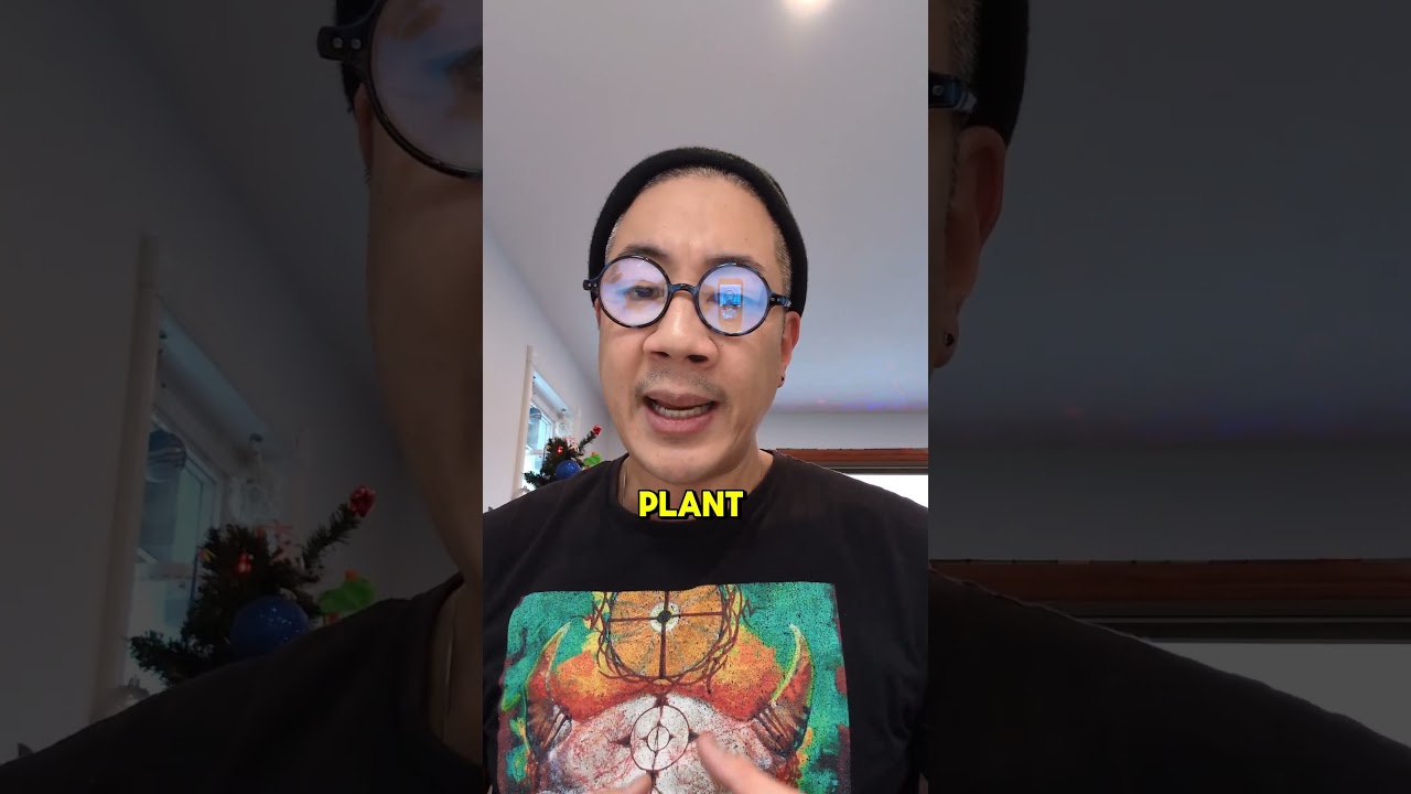 Когда следует начинать обрезку и удаление листьев у автоцвета?