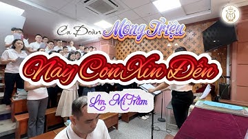 NÀY CON XIN ĐẾN | Lm. Mi Trầm | Ca Đoàn Mông Triệu | Giáo Xứ Fatima Bình Triệu