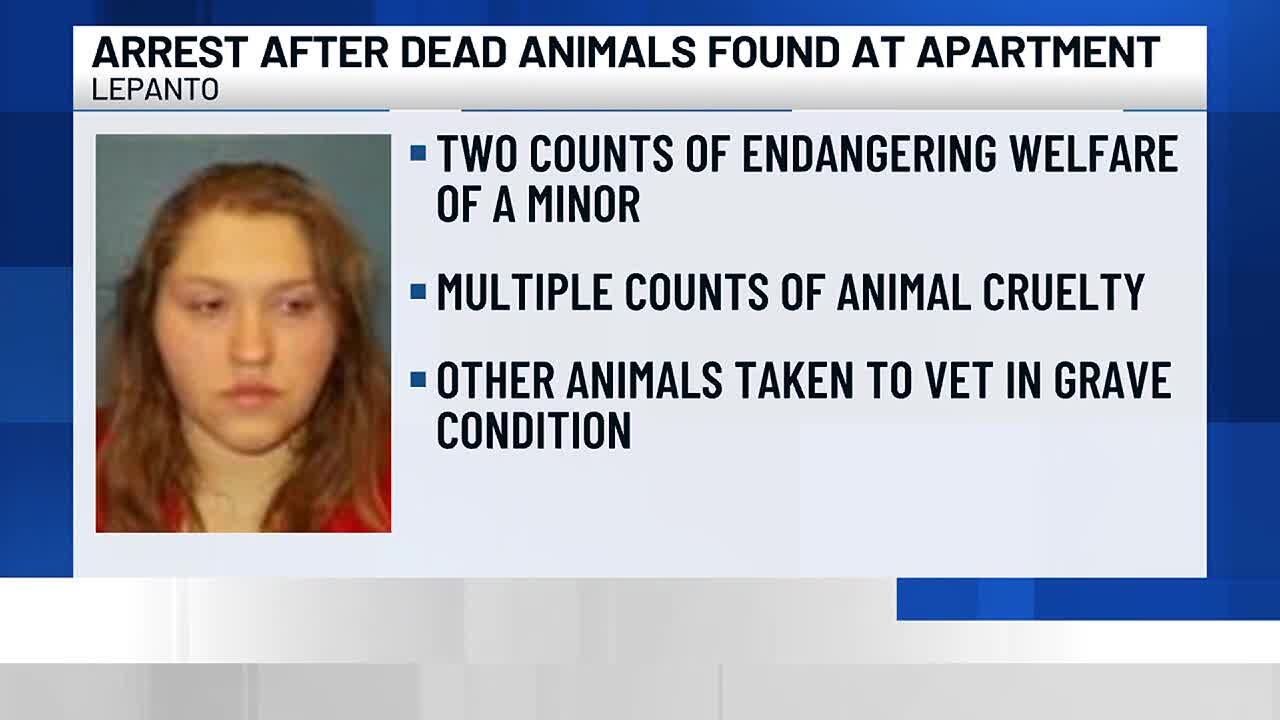 Woman arrested after multiple dead animals found in apartment - YouTube