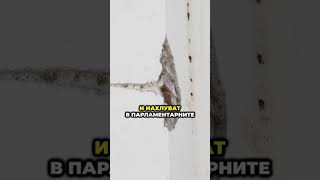 Ремонт На Парлаа Няма, Депутатите Просто Се Крият От Медиите В Партийния Дом