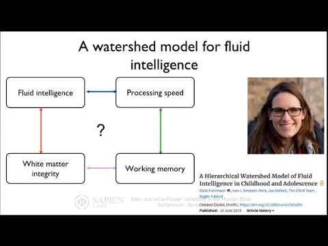 Fluid Intelligence Across the Lifespan: Brains and Behaviour | Dr. Rogier Kievit