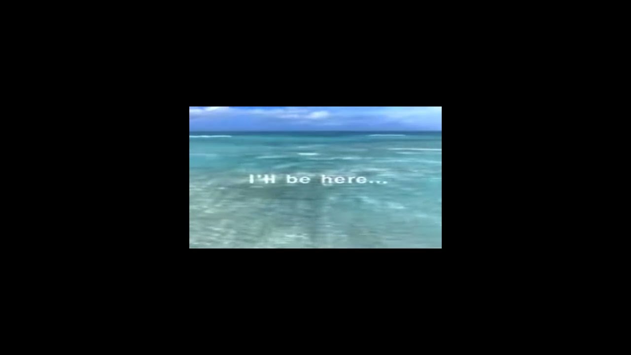 Yung Sherman - hahaha i love u