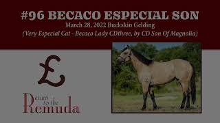 RTTR2024 - Hip Becaco Especial Son