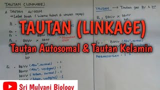 LINKAGE (AUTOSOMAL LINK & SEX LINK) | Biology XII SMA