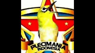 #SimulasiLomba#suaraLombaPleci untuk melatih dan mengasah Mental Pleci Jagoannya Boskuhh