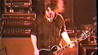 MELVINS Live @ Numbers#&#39;s  Houston, Tejas 1997 Magic Pig Detective, Lizzy, Antotoxidote (Part 2)