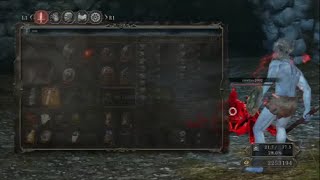 Dark Souls 2- How To Use Full Havel Properly