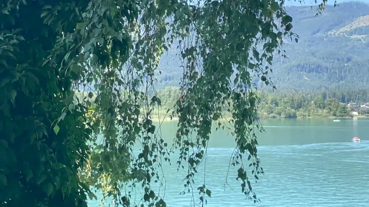 R&L WOLFGANG LAKE WITH GATE 1