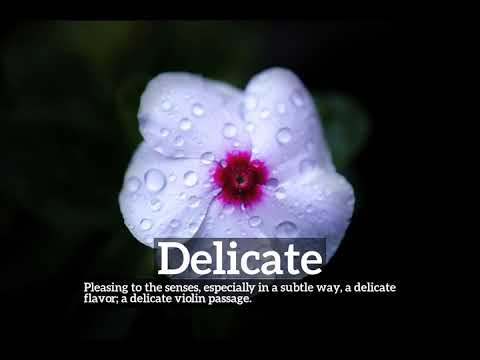 What is Delicate? | How to Say Delicate in English? | How Does Delicate Look?