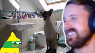 Forsen Reacts - Our Siamese Cats at Shower Time