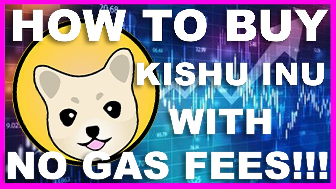 NO GAS FEES!!! How to Buy Kishu Inu Meme Coin Token without uniswap Kishuswap Pancake Swap Fees