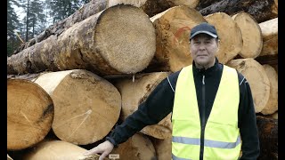 Sågverket som sågar grovt i långa längder