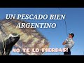 MIRA el Hurón!🦊 AVENTURA EN EL GUAZÚ!