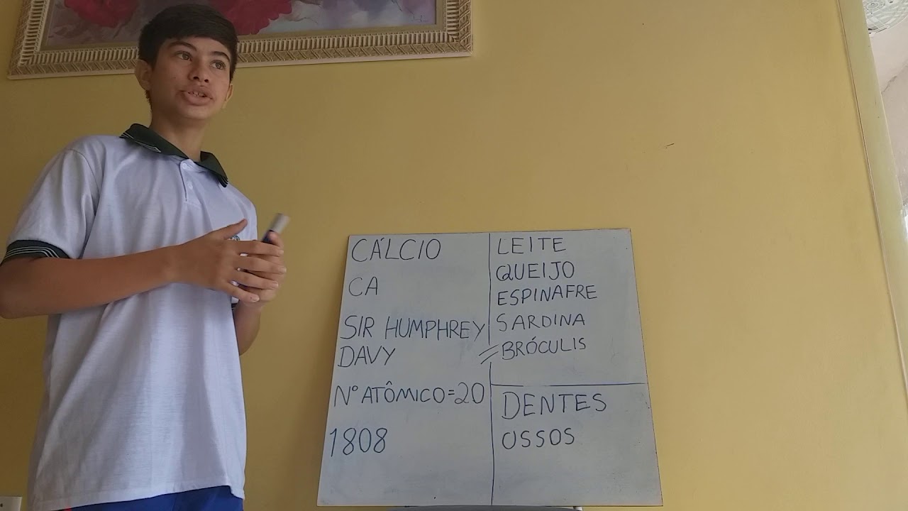 Descrição do cálcio e o potássio e sua importância