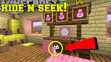 Minecraft: FERRETS HIDE AND SEEK!! - Morph Hide And Seek - Modded Mini-Game