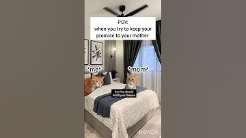 CAT MEMES 🐱 when you try to keep your promise to your mother #shorts​ #catmemes​ #relatable​
