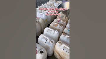 0909 77 0509. Cá tra dầu giống. #cá_giống #trại_cá_giống_út_me #fishing