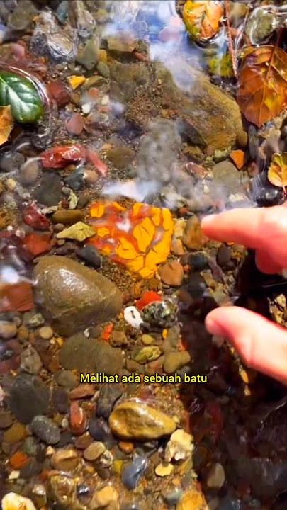 orang ini menemukan batu dengan serat emas 😨