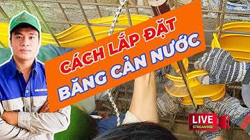 hướng dẫn hàn và lắp đặt băng cản nước waterstop, sika water bar | video livestream