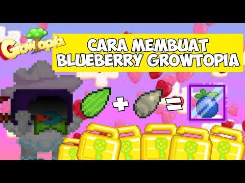 Video: Cara Membuat Pemanen Blueberry