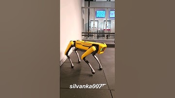 HAPPY ROBO-DOG 🐕 Futuristic Smart AI Pet Technology #BostonDynamics #ai #dog #spot #ytshorts #TikTok