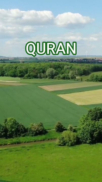 SURAH NISA AYAT 62 TO 64 #quran #motivation