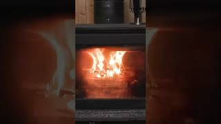 How To Start A Fire Like A PROFESSIONAL Homeowner Wranglerstar #shorts