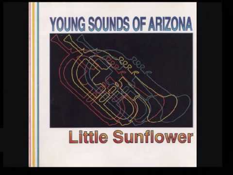 call sign generator Young Sounds Of Arizona- 