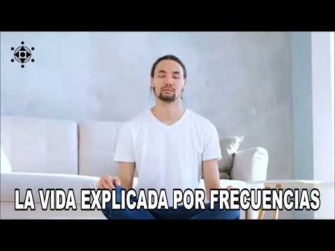 LA VIDA EXPLICADA POR FRECUENCIAS (Audiolibro) / José Luis Valle