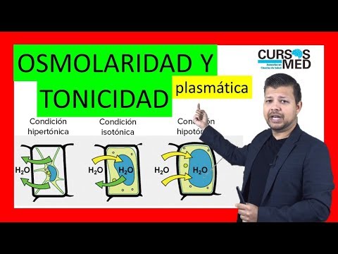 OSMOLARIDAD PLASMÁTICA, OSMOSIS Y TONICIDAD explicado FÁCIL.
