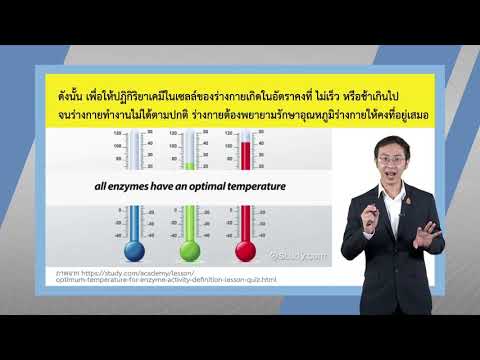 วีดีโอ: มวลของดาวศุกร์คืออะไร? มวลบรรยากาศของดาวศุกร์