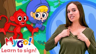 Learn Sign Language with Morphle! | Down in the Jungle | MyGo! | ASL for Kids