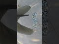 First kicky with the POV cam