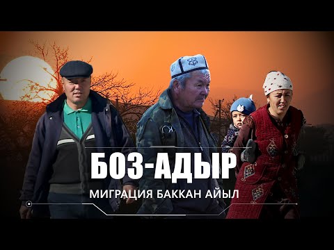 Video: Мэрилин Сандерленддин оюп жасалган ашкабактарынын таң калыштуу сулуулугу