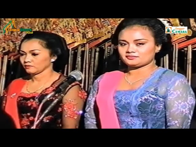 Trannining sikishini tomosha qiling