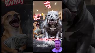 #viral #shorts #pets #ChihuahuaLife#HusbandWifeHumor #MomPower #FunnyDogs#AlAnimation #cartoons