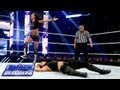 Kaitlyn vs aj lee  wwe divas championship match smackdown aug 2 2013